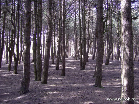 Le Touquet-Paris-Plage