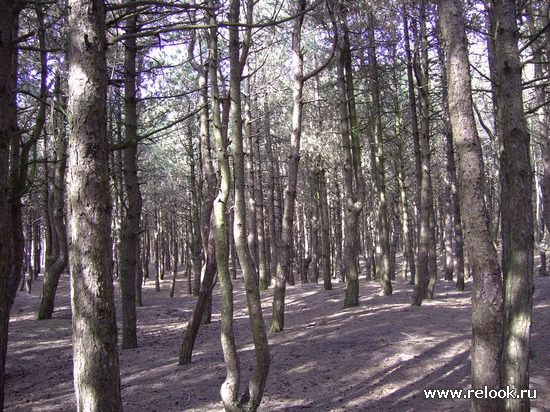 Le Touquet-Paris-Plage