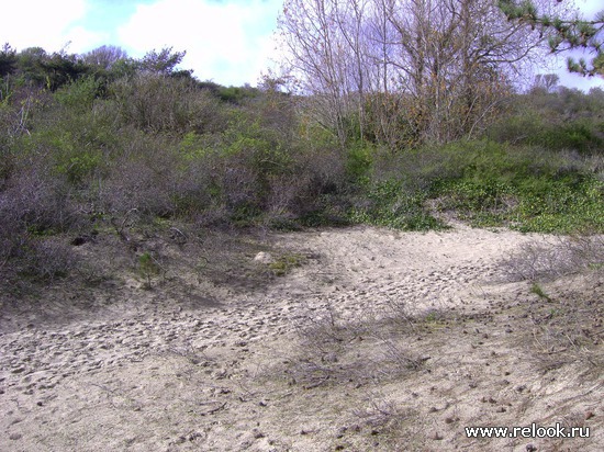 Le Touquet-Paris-Plage