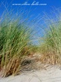 Le Touquet-Paris-Plage