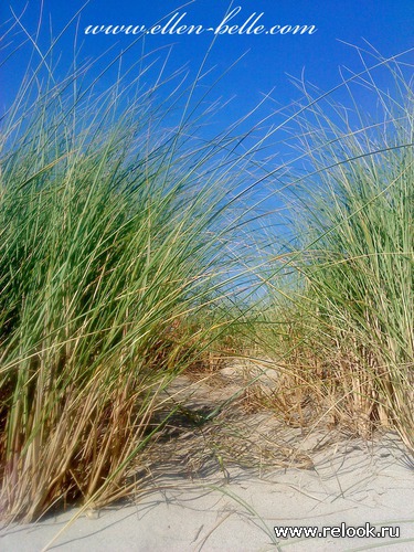 Le Touquet-Paris-Plage