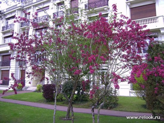 Le Touquet-Paris-Plage