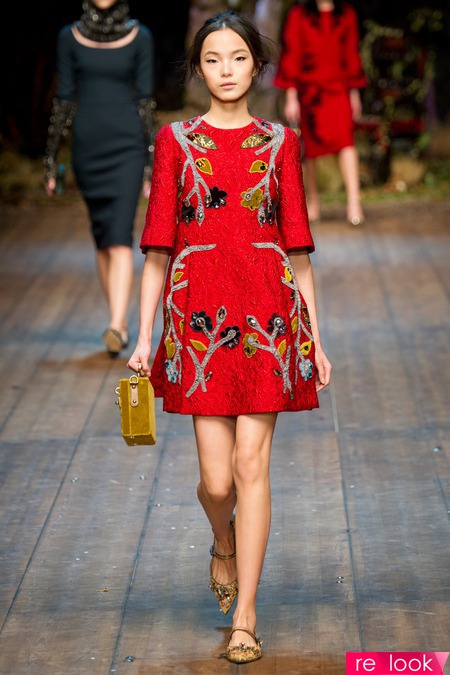 Dolce &amp; Gabbana Fall 2014 Ready-to-Wear